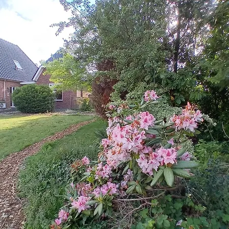 Bed & Breakfast In Ons Bakhuis-3